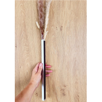 Minimalistische magneetvaas met droogbloemen