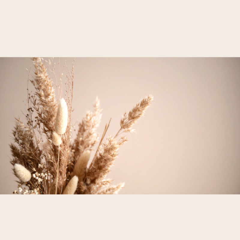 Droogbloemen